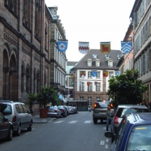 16-Fahnen und Pflanzen